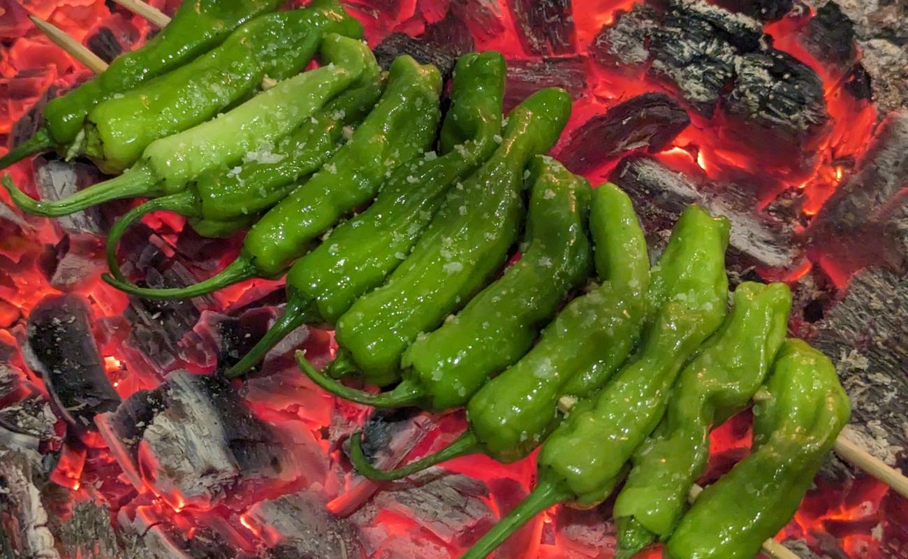 Image of “Campfire” Shishitos with Dill Cream